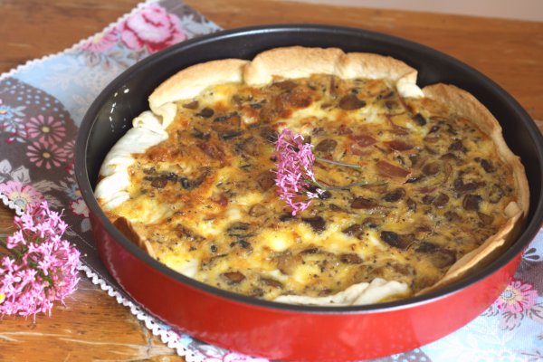 Ссылка на кракен шоп
