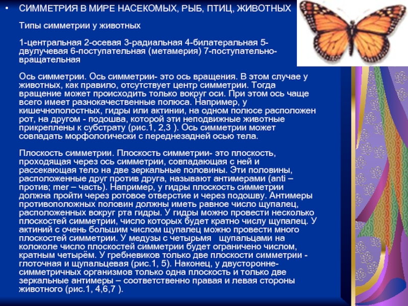 Найти зеркало кракена