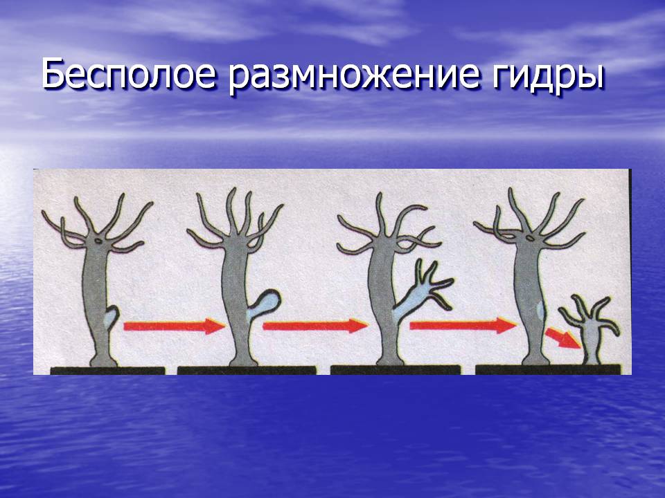 Ссылки на кракен блэкспрут